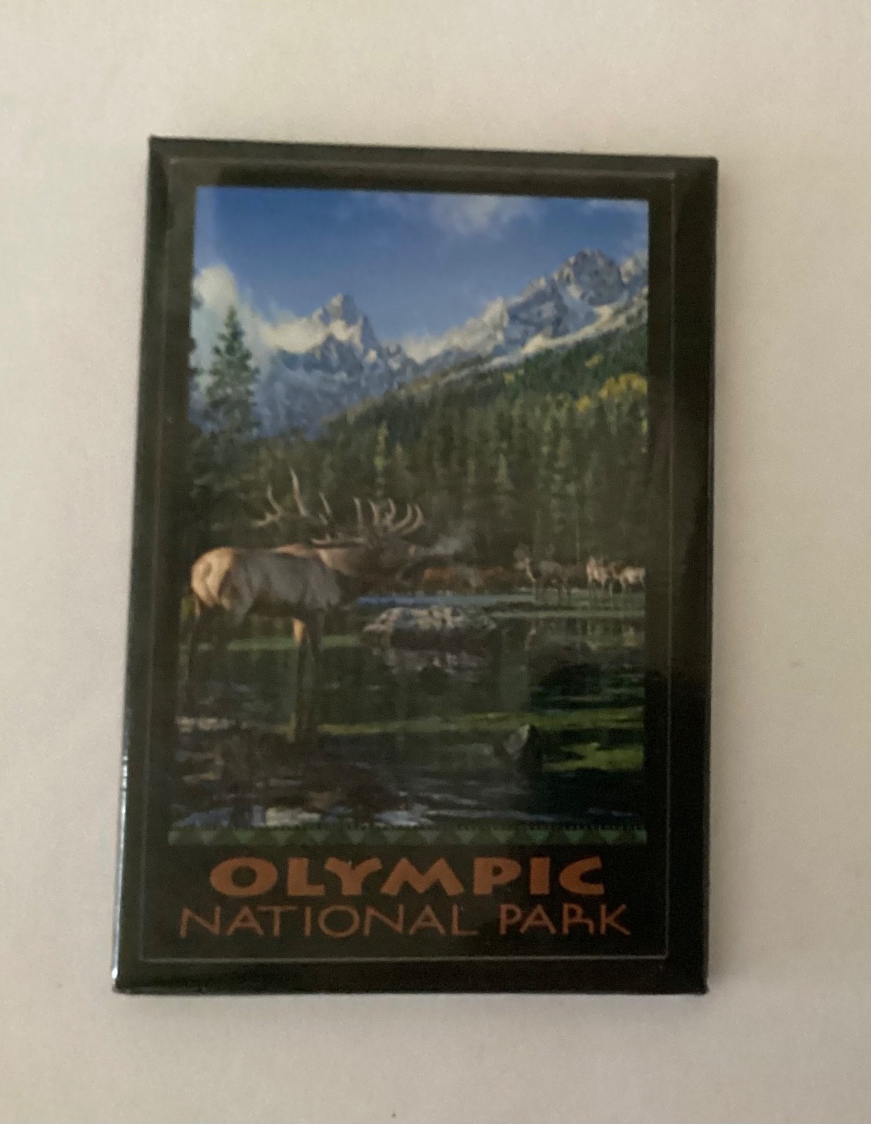 Olympic National Park Washington Fridge Magnet HK4