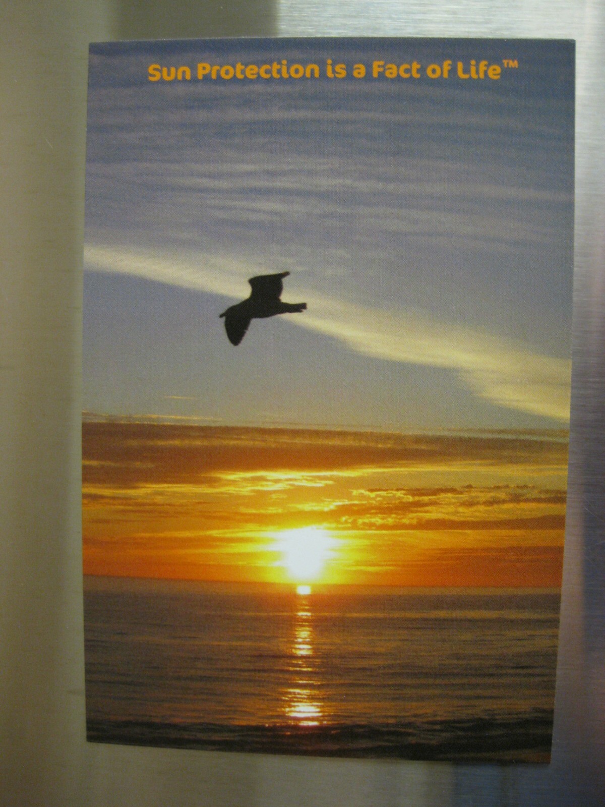 FRIDGE MAGNET 4×6″ SUN PROTECTION IS A FACT OF LIFE Souvenir Refrigerator MAGNET