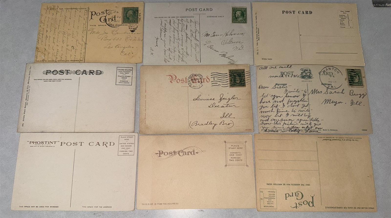 38 different 1907-1920 California Redwood Postcards Redwood Trees Awesome lot!