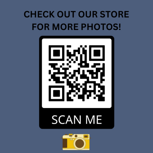 SCARY CLOWN MOTEL SIGN CREEPY HALLOWEEN ATRACTION 4X6 PHOTO POSTCARD