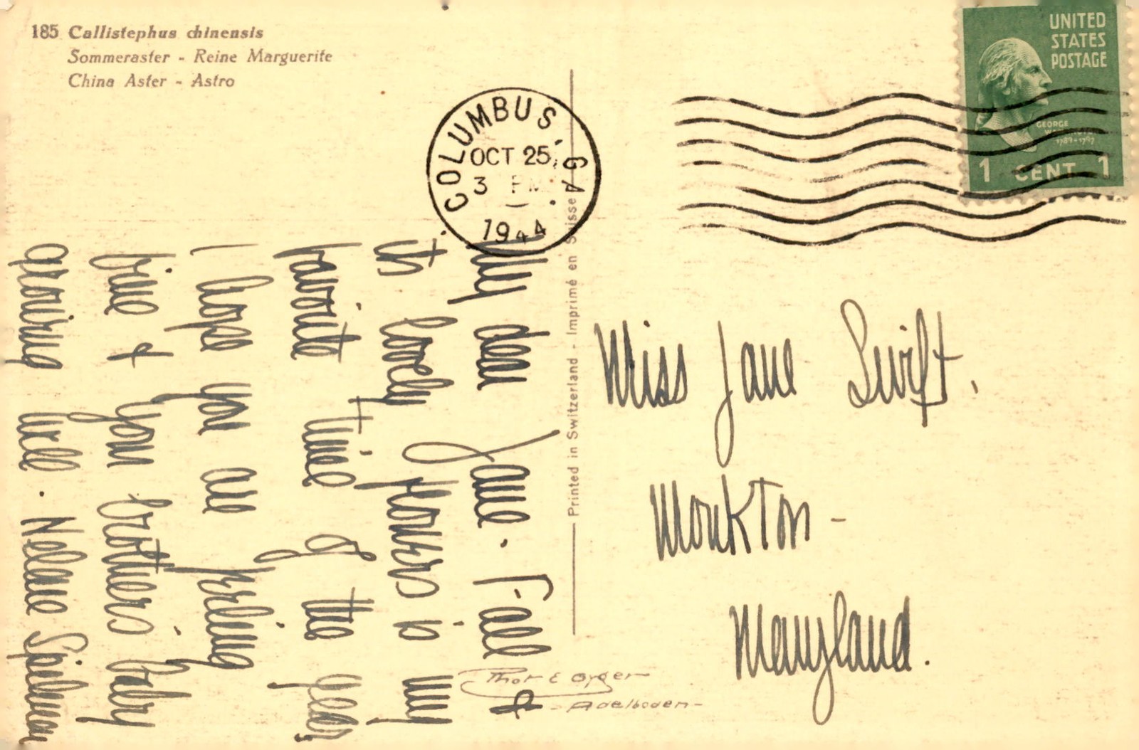 China Aster – Astro, 1944, United States, George Washington Postcard