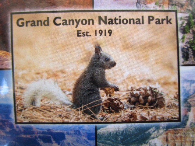 GRAND CANYON ARIZONA MAGNETIC POSTCARD NEW SEALED FREE SHIPPING