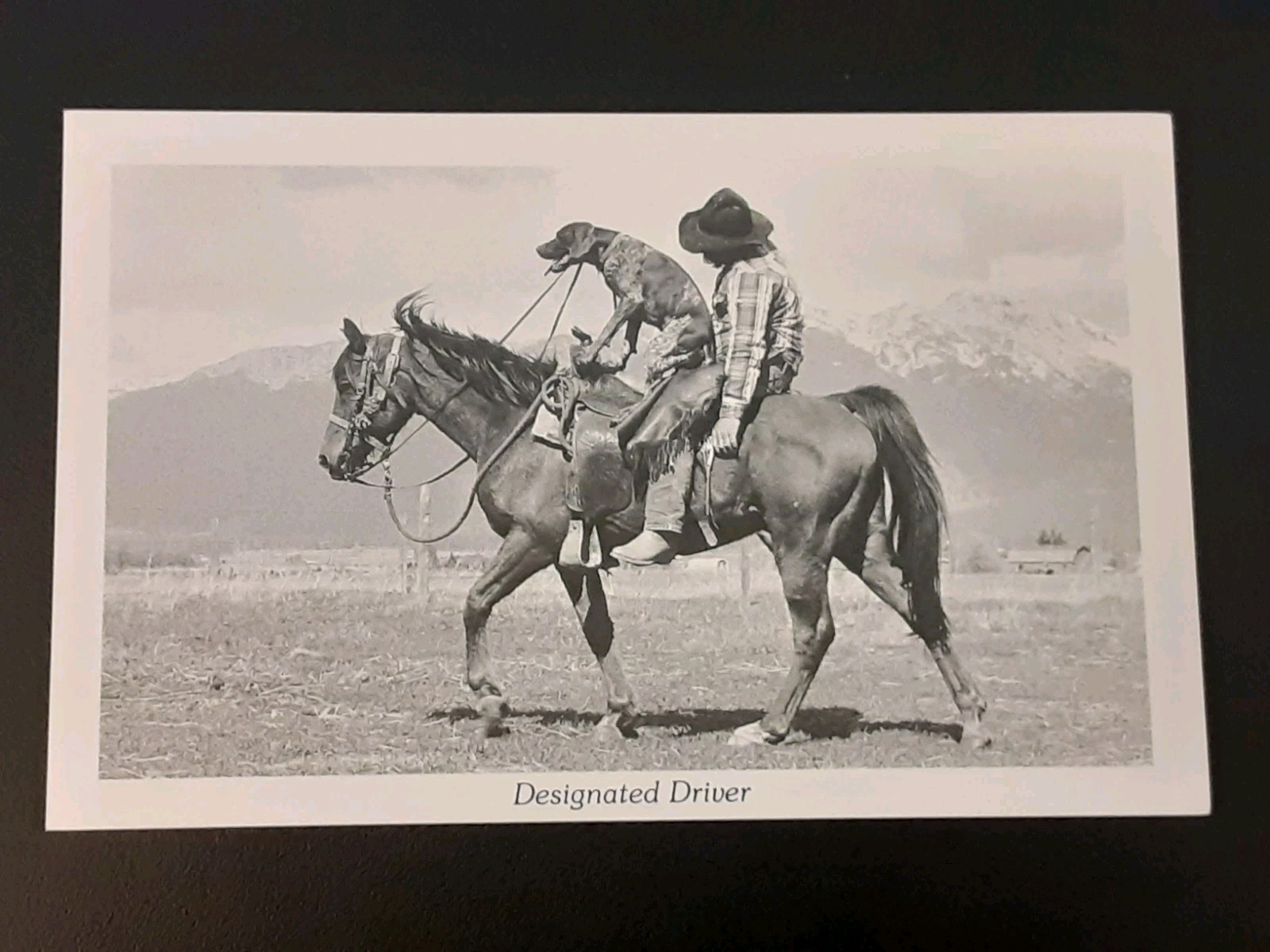 Vintage Duckboy 11 Hunting & Recreation Comic Postcards Black and White Unused
