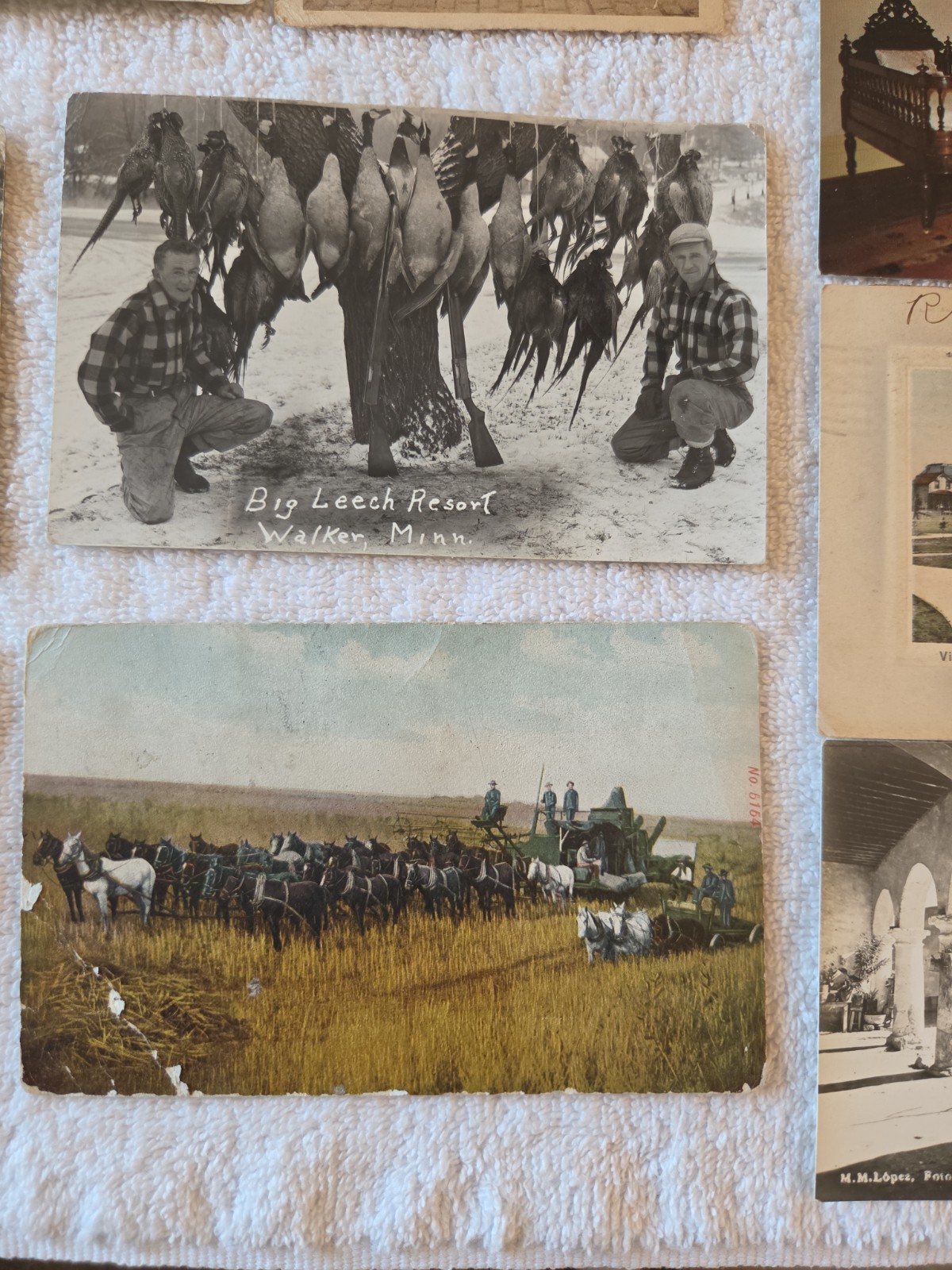 Antique Lot of 11 Souvenir Postcards some postmarked