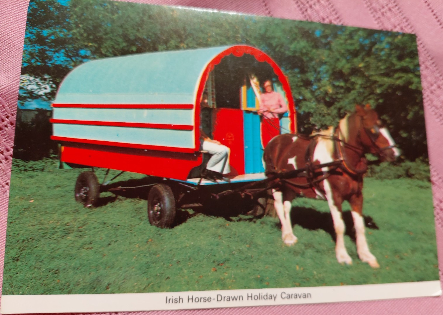 Irish Horse-Drawn Holiday Caravan postcard paper single unit animals travel