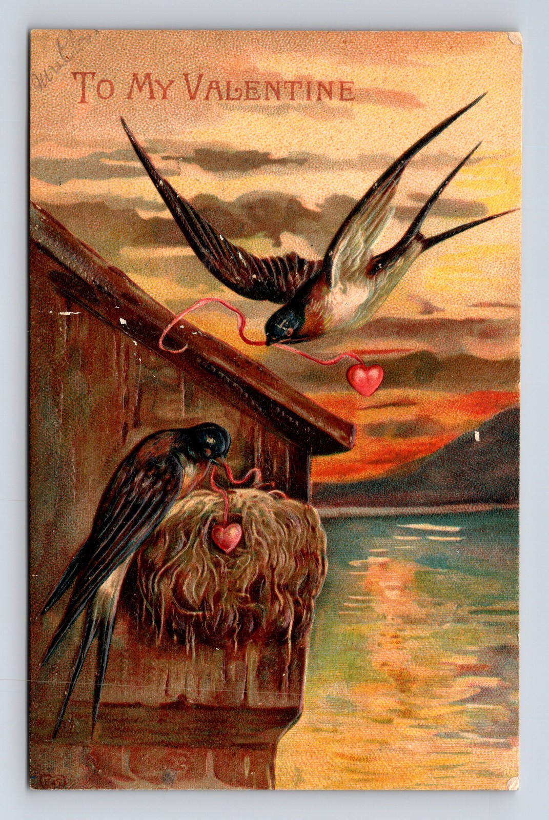 1909 Valentine’s Day Swasllow Birds Birdhouse Lake Seaside Fairfield IA Postcard
