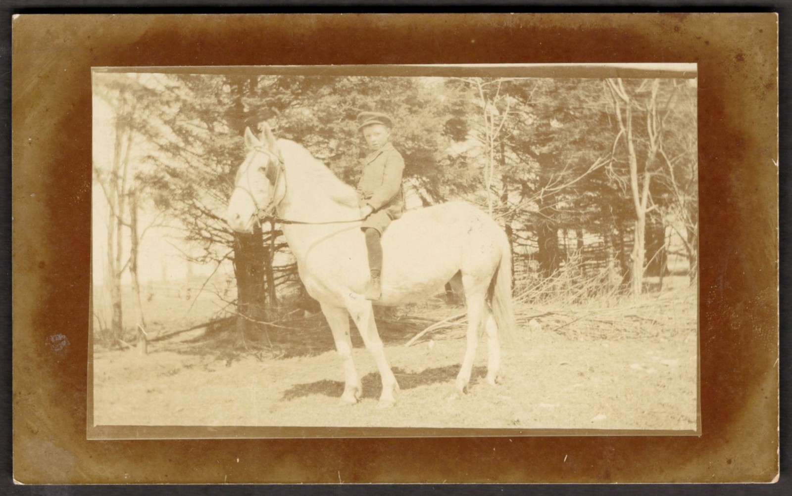 CANADA or USA 1910s Boy Horse Back Riding. Real Photo Postcard