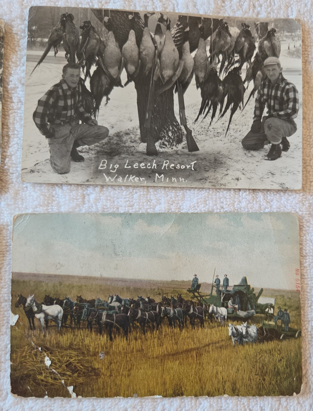 Antique Lot of 11 Souvenir Postcards some postmarked