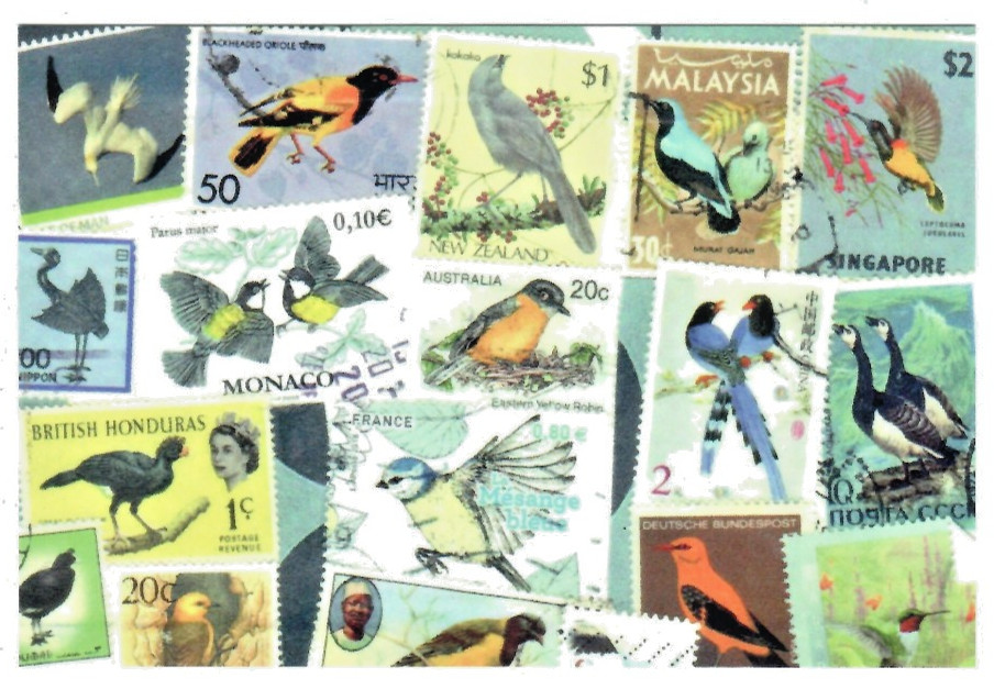 🟢5 Original Postcards for Postcrossers STAMPS FLOWERS BUTTERFLIES World-wide🟤