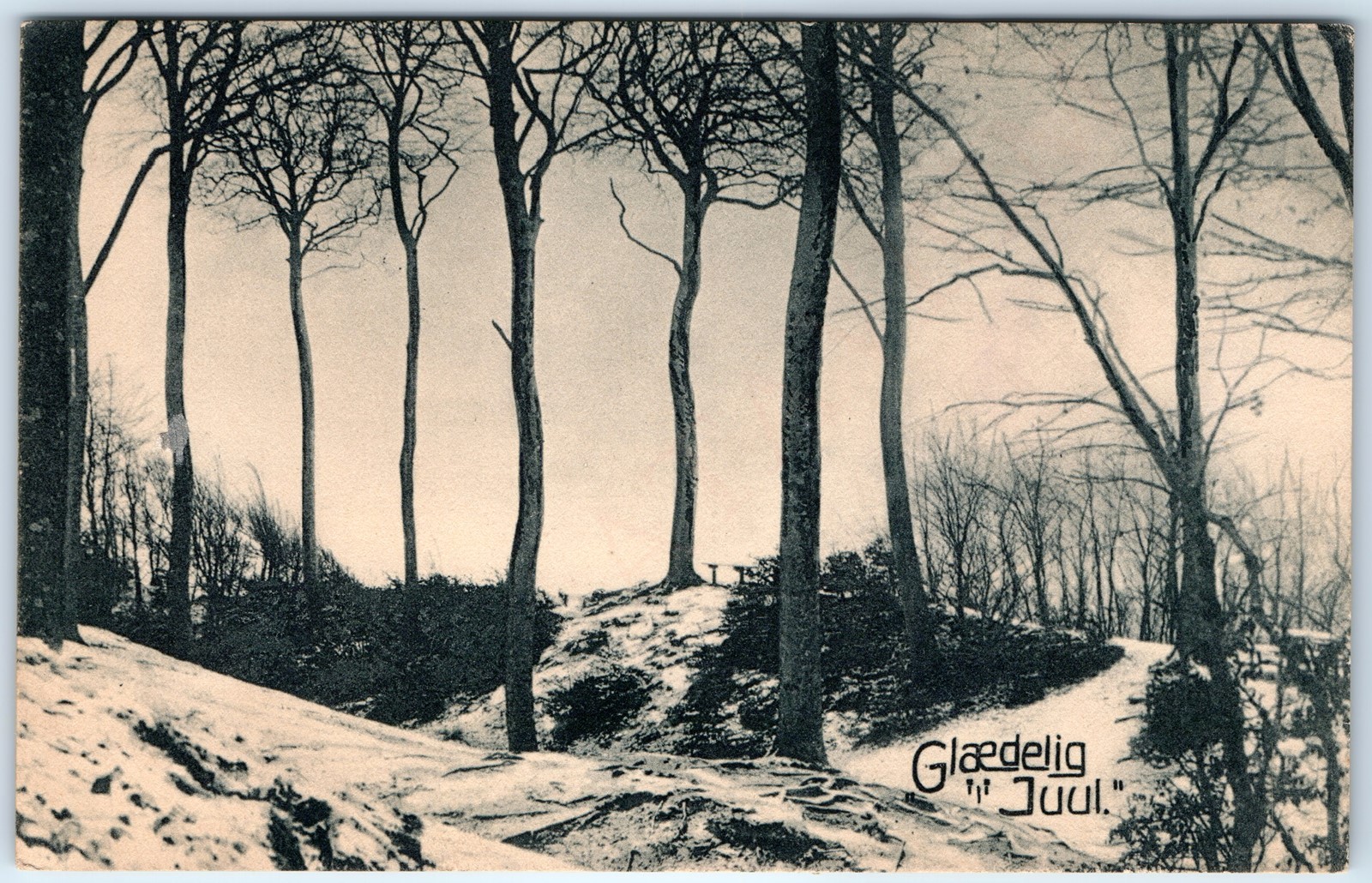 c1910s Denmark Christmas Greeting Glaedelig Jul Winter Snow Trees Postcard A352