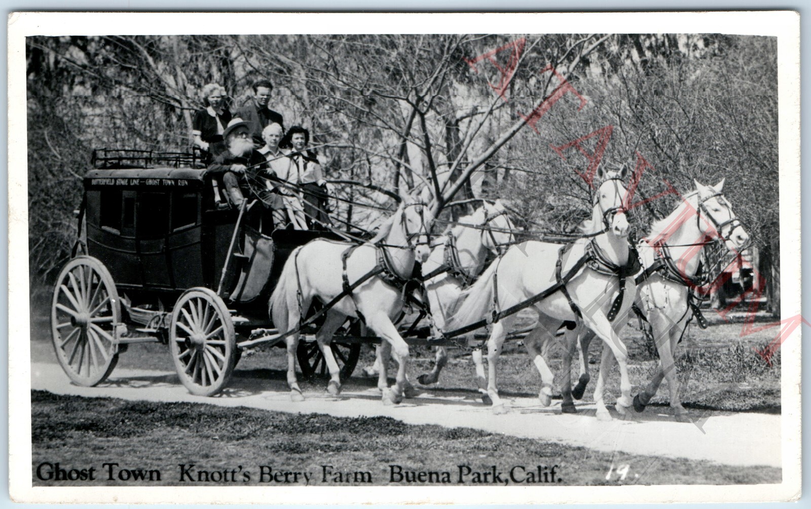 c1940s Buena Park, CA RPPC Knotts Berry Farm Ghost Town Butterfield Stagecoach
