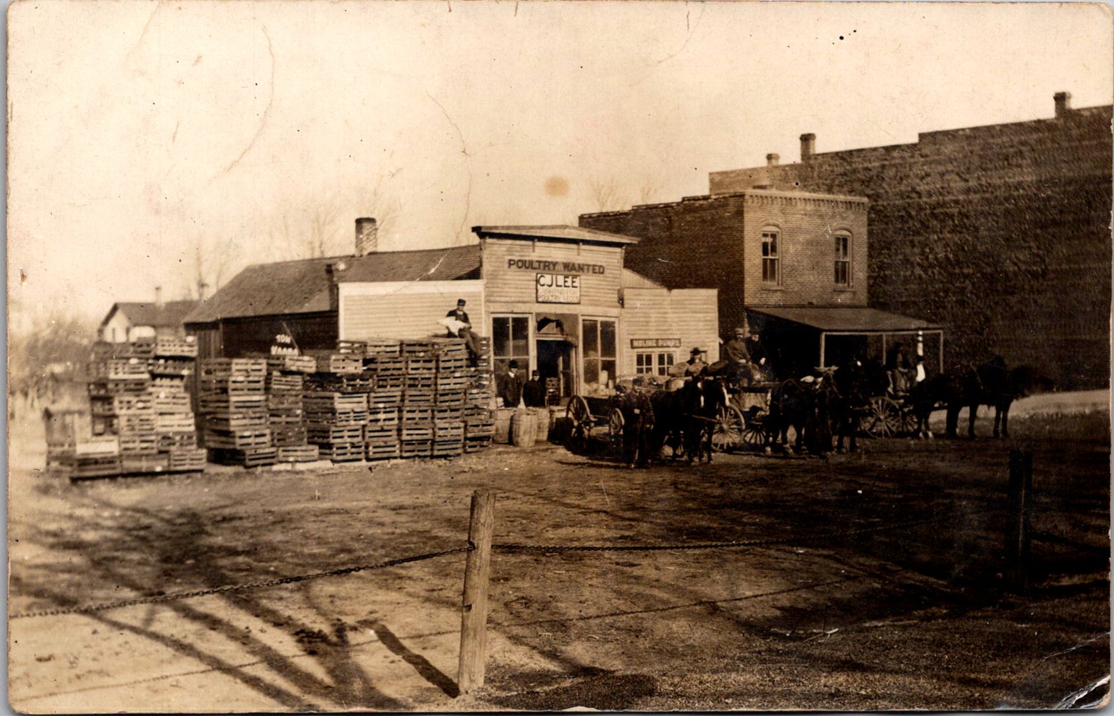 Real Photo Postcard C J Lee Poultry Buyer, Williamsburg, Iowa – used in 1908