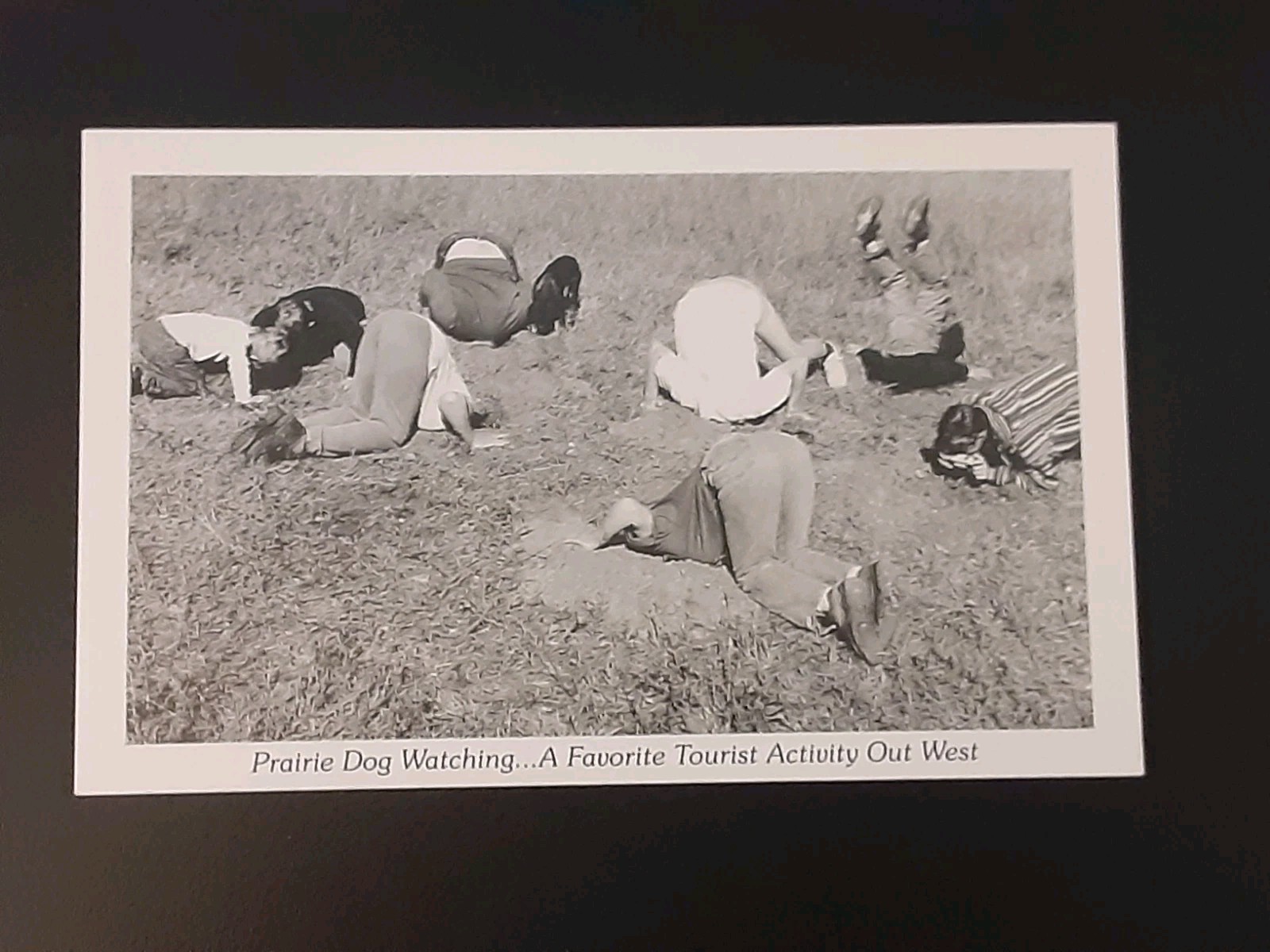 Vintage Duckboy 11 Hunting & Recreation Comic Postcards Black and White Unused