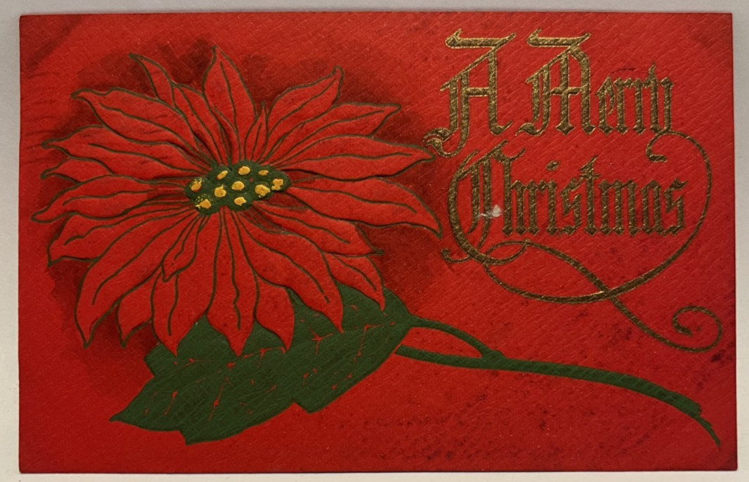 1911 A Merry Christmas, Poinsettia Flower, Embossed, Vintage Red Postcard