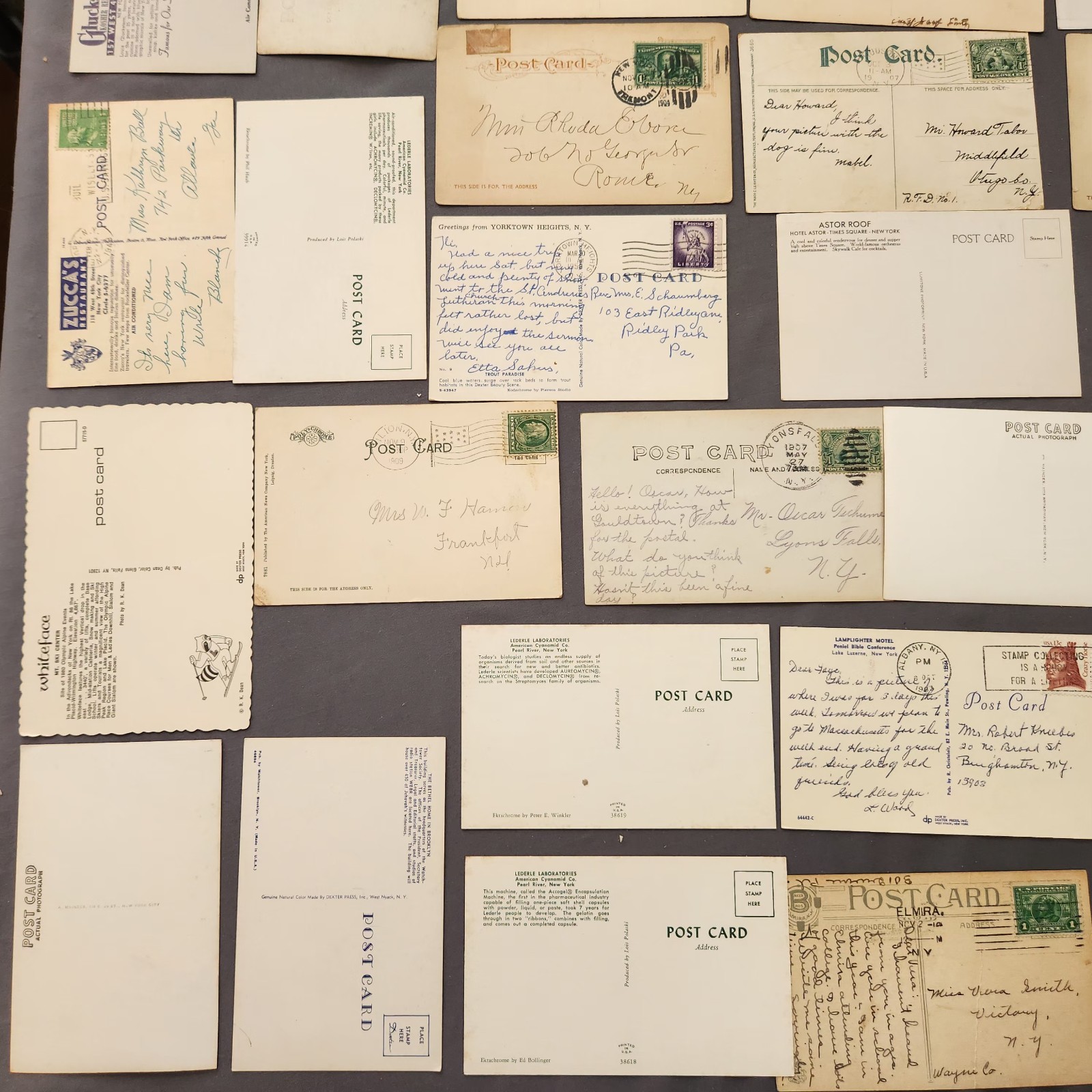 Lot of 75 NEW YORK Postcard Wildlife Nature Cities Landmark 1904 -2000’s Mix