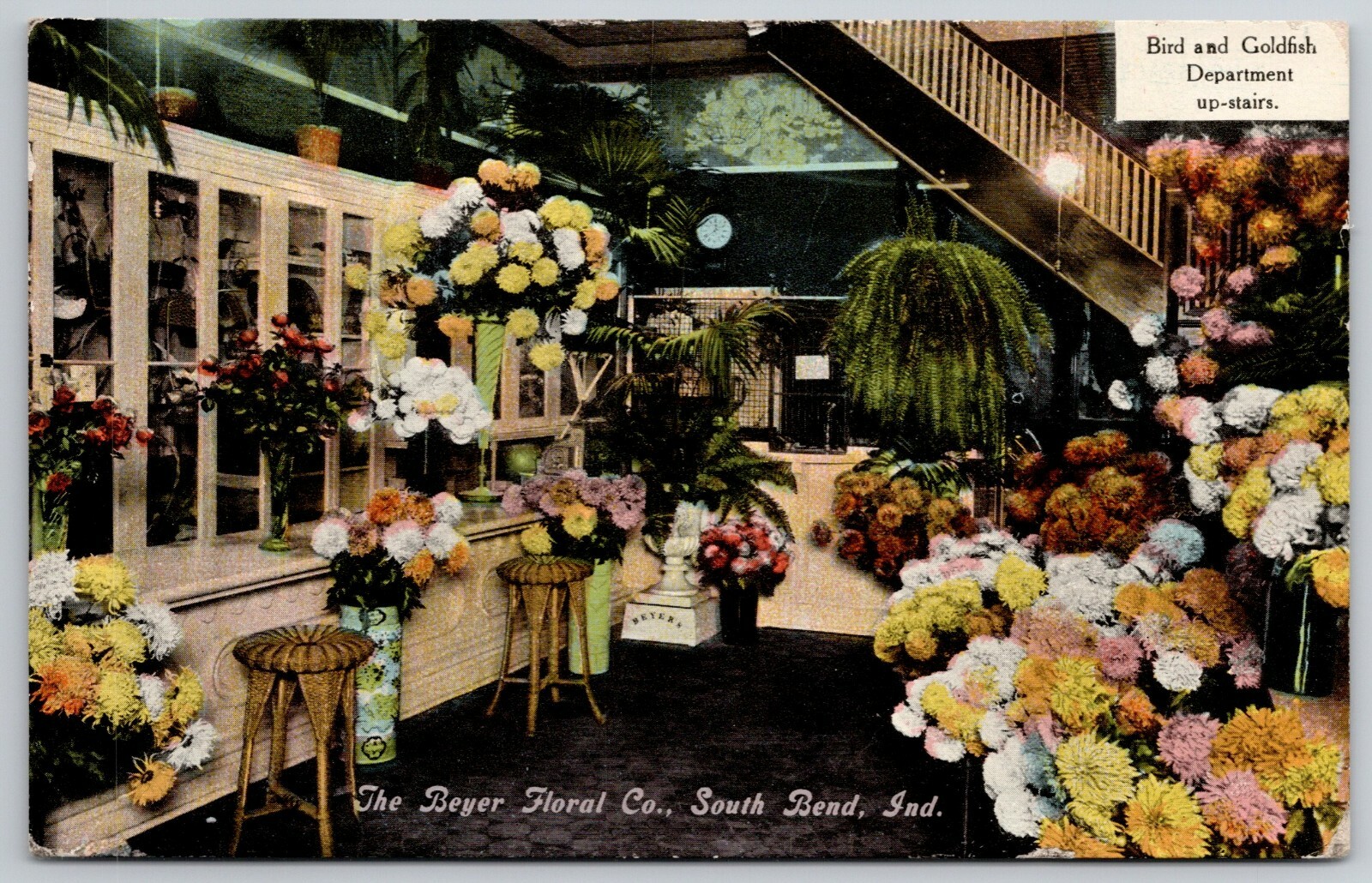 South Bend Indiana~Willow Plant @ Buyer Floral Shop~Interior~Wicker Stools