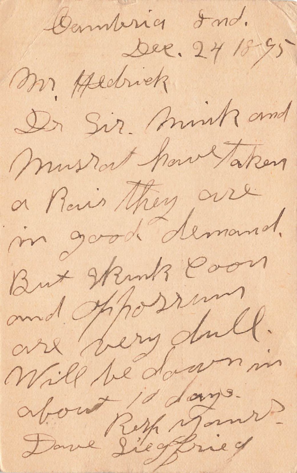 *1895 Postal Card from Cambria, Indiana Fur Buyer Describing Market for Furs
