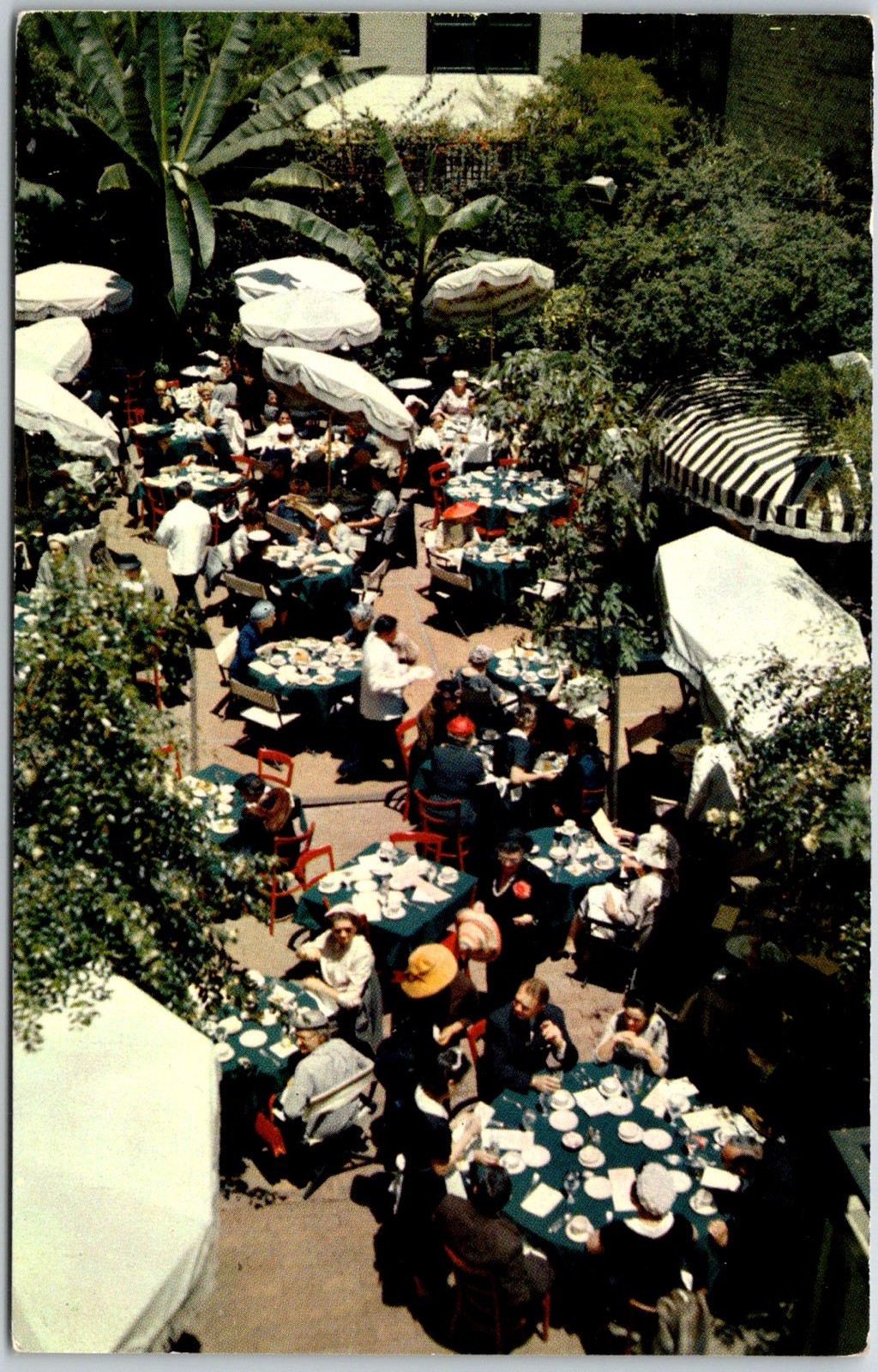 San Francisco USA Hotel Canterbury Outdoor Restaurant Scene Postcard