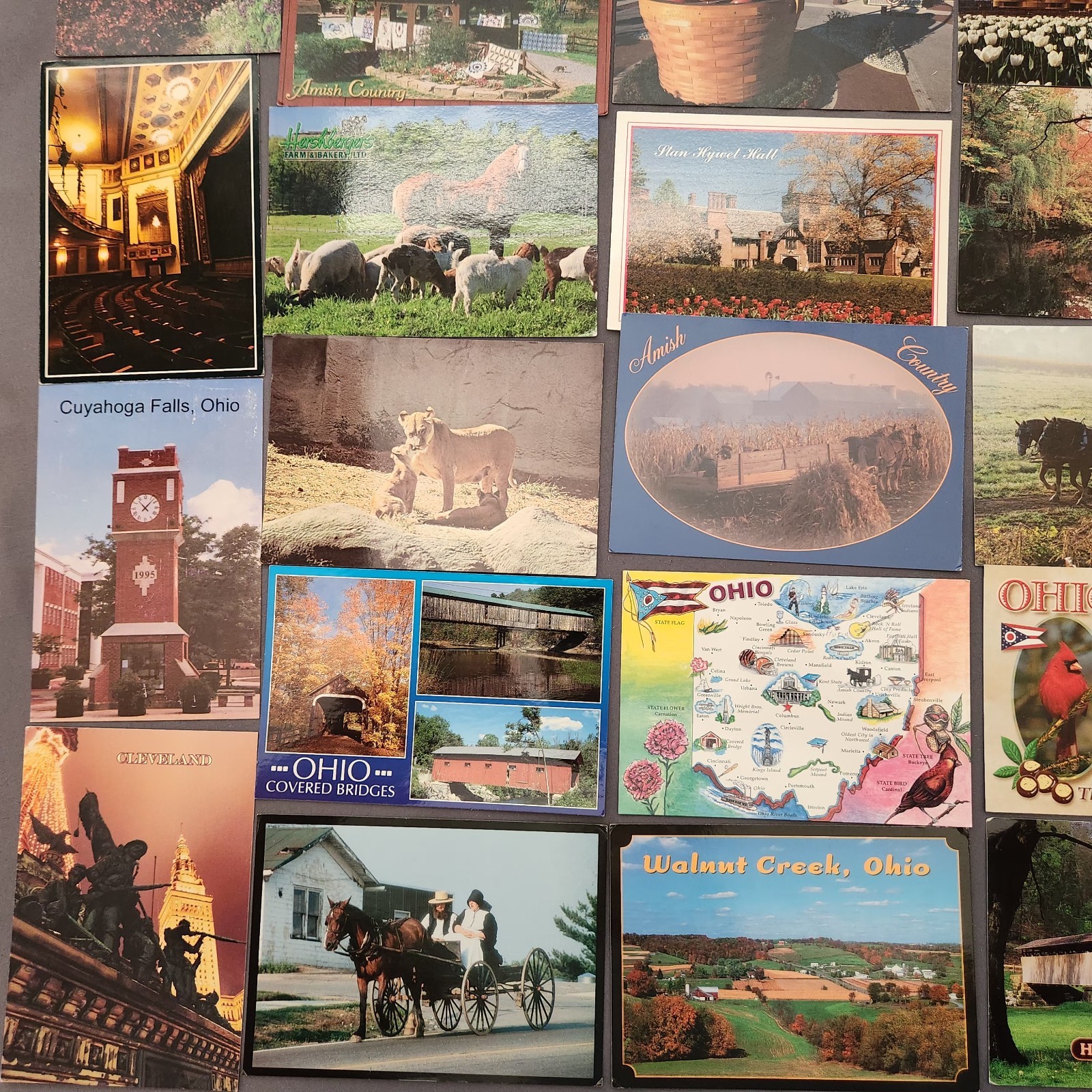 Lot of 75 OHIO Postcard Wildlife Nature Cities Landmark 1930’s -2000’s Mix