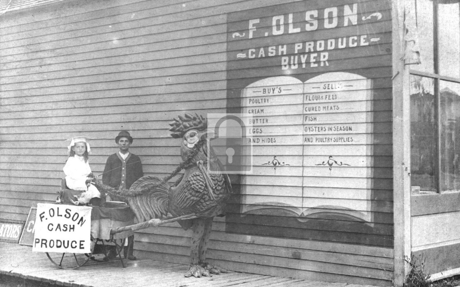 F Olson Cash Produce Buyer Chicken Cart Wausa Nebraska NE – Reprint