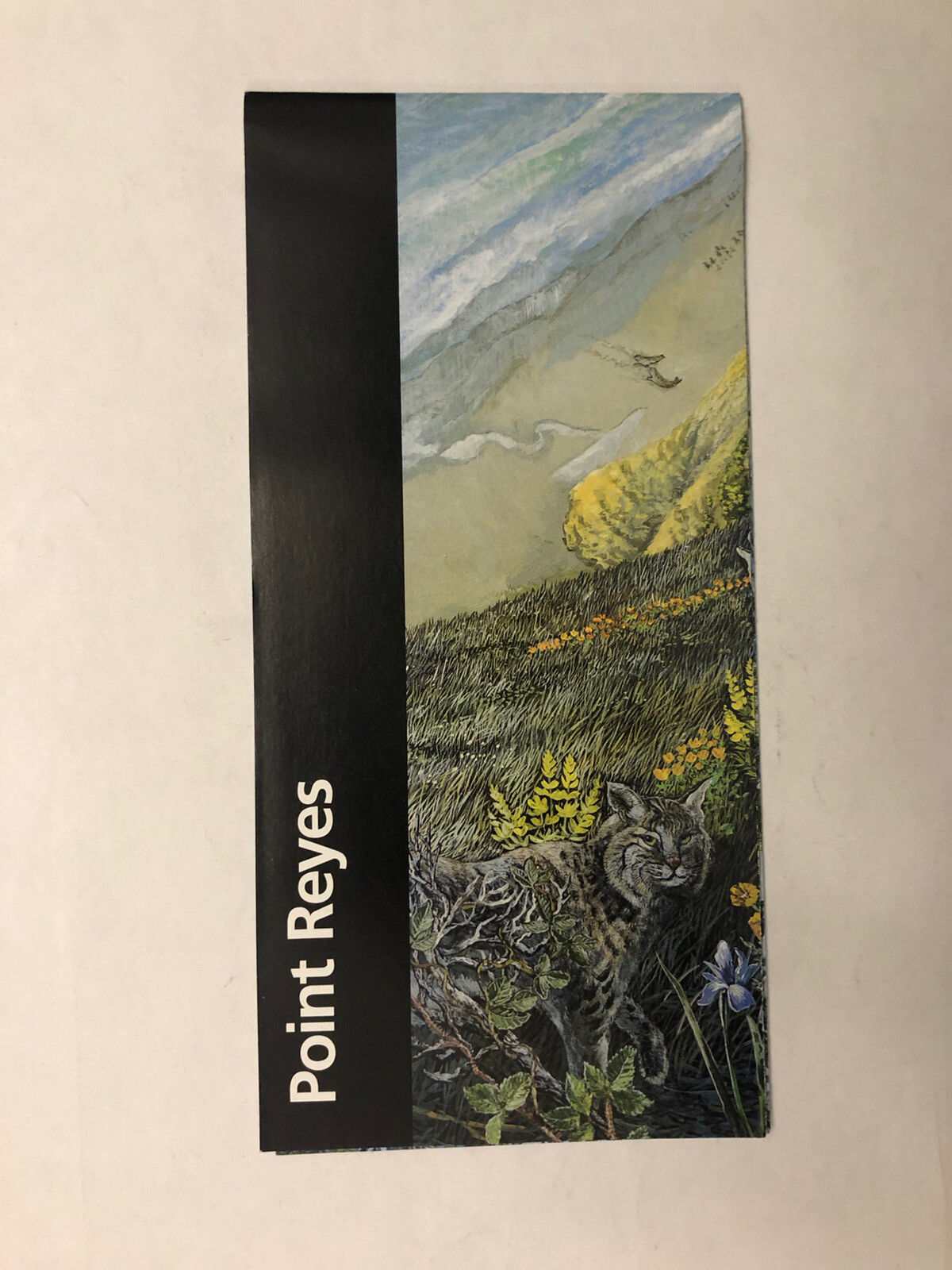 Point Reyes National Seashore Park GPO 2021 NEWEST Unigrid Brochure Map CA