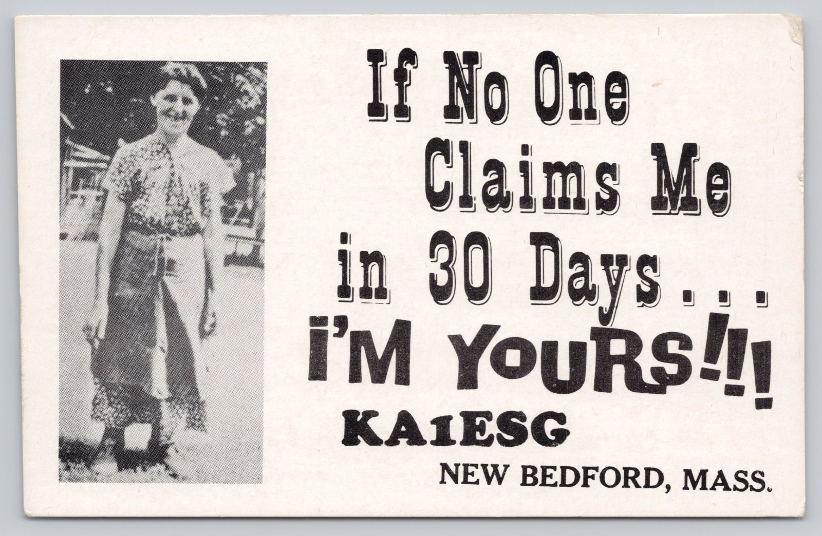 Ham Radio QSL KA1ESG Funny 30 Days Claim Me Woman Photo New Bedford Postcard