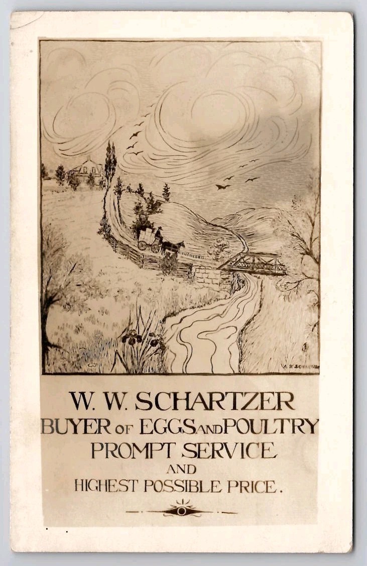 Byron OH W.W. Schwartzer Eggs And Poultry Buyer Sketch Style Farm Postcard I46