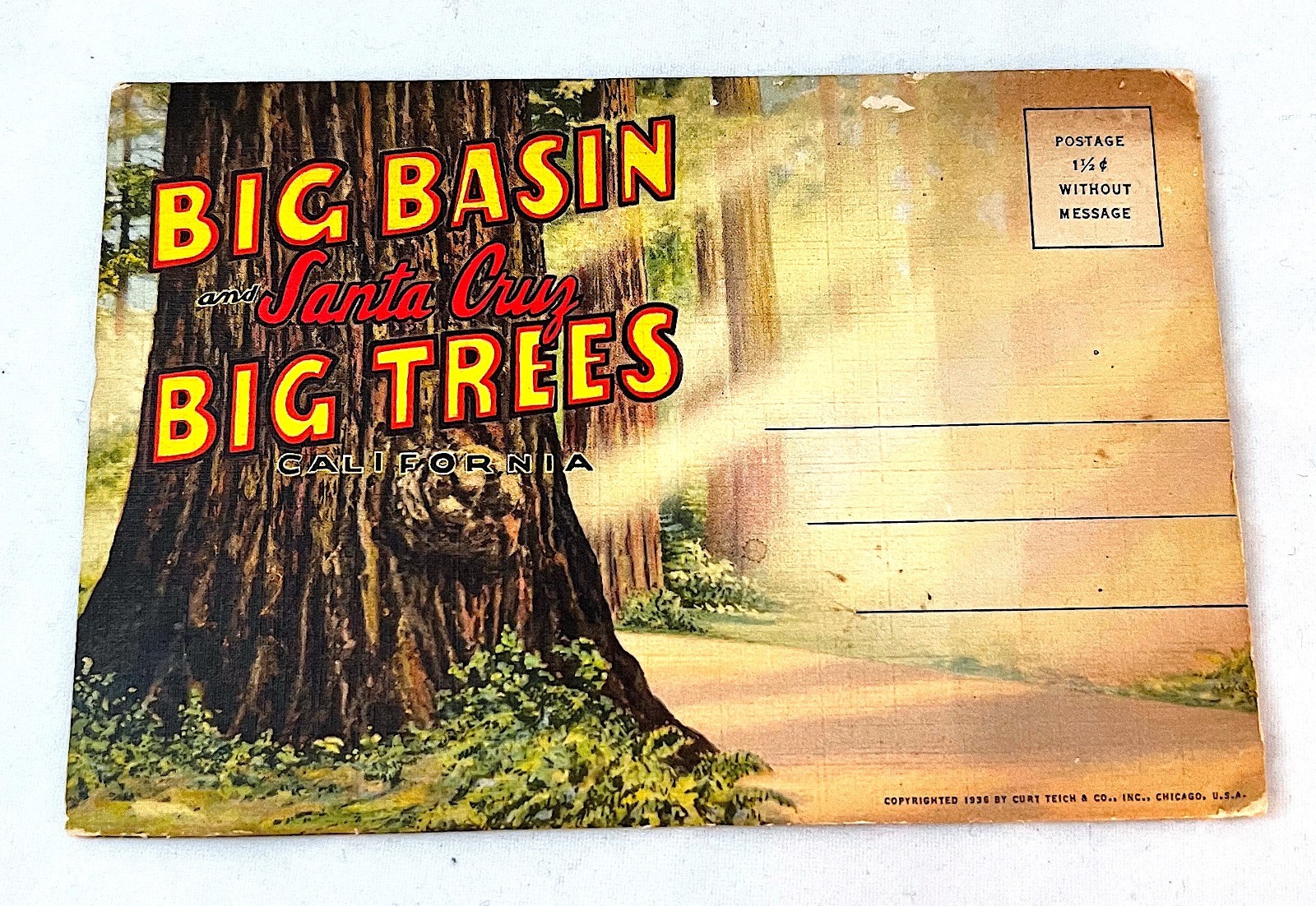 Postcard Folder. “Big Basin Santa Cruz Big Trees CA” 18 pics. Vintage 1930s-’40s