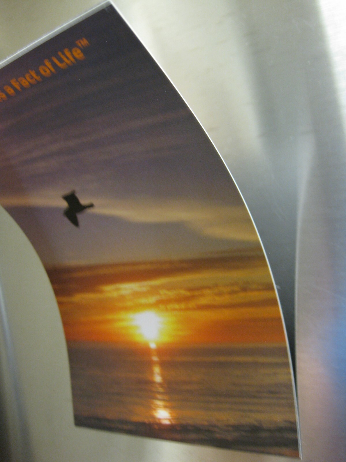 FRIDGE MAGNET 4×6″ SUN PROTECTION IS A FACT OF LIFE Souvenir Refrigerator MAGNET