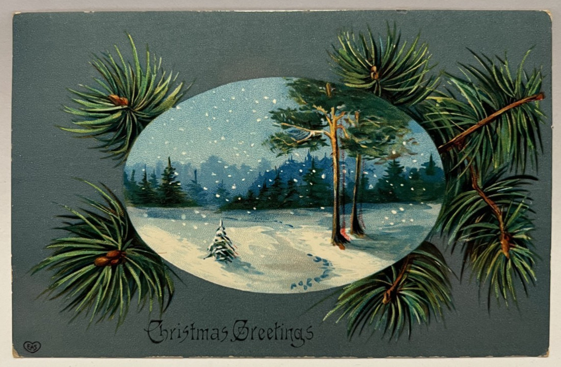 1909 Christmas Greetings, Evergreen Branches, Snow, Vintage Gel Postcard