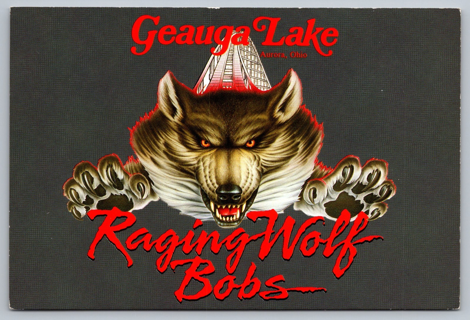 Aurora Ohio, Raging Wolf Bobs Roller Coaster~Geauga Lake Amusement Park Postcard