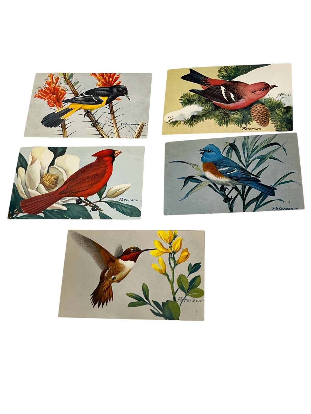Antique Vintage Postcard Lot 1900’s On Up New Used Stamped Some Sleeved 190 Plus