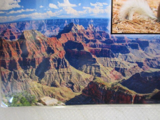 GRAND CANYON ARIZONA MAGNETIC POSTCARD NEW SEALED FREE SHIPPING