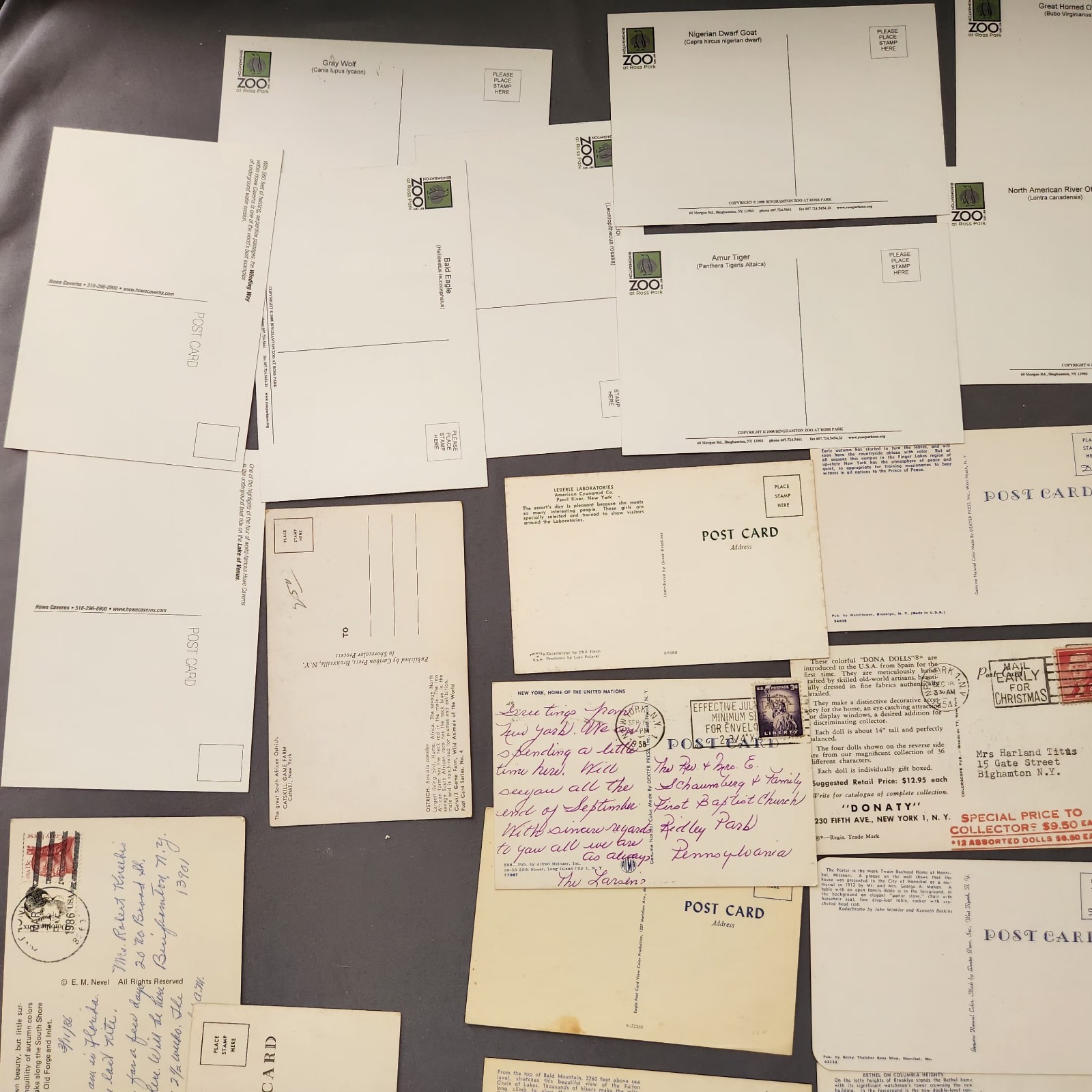 Lot of 89 NEW YORK Postcard Wildlife Nature Cities Landmark 1907 -2000’s Mix