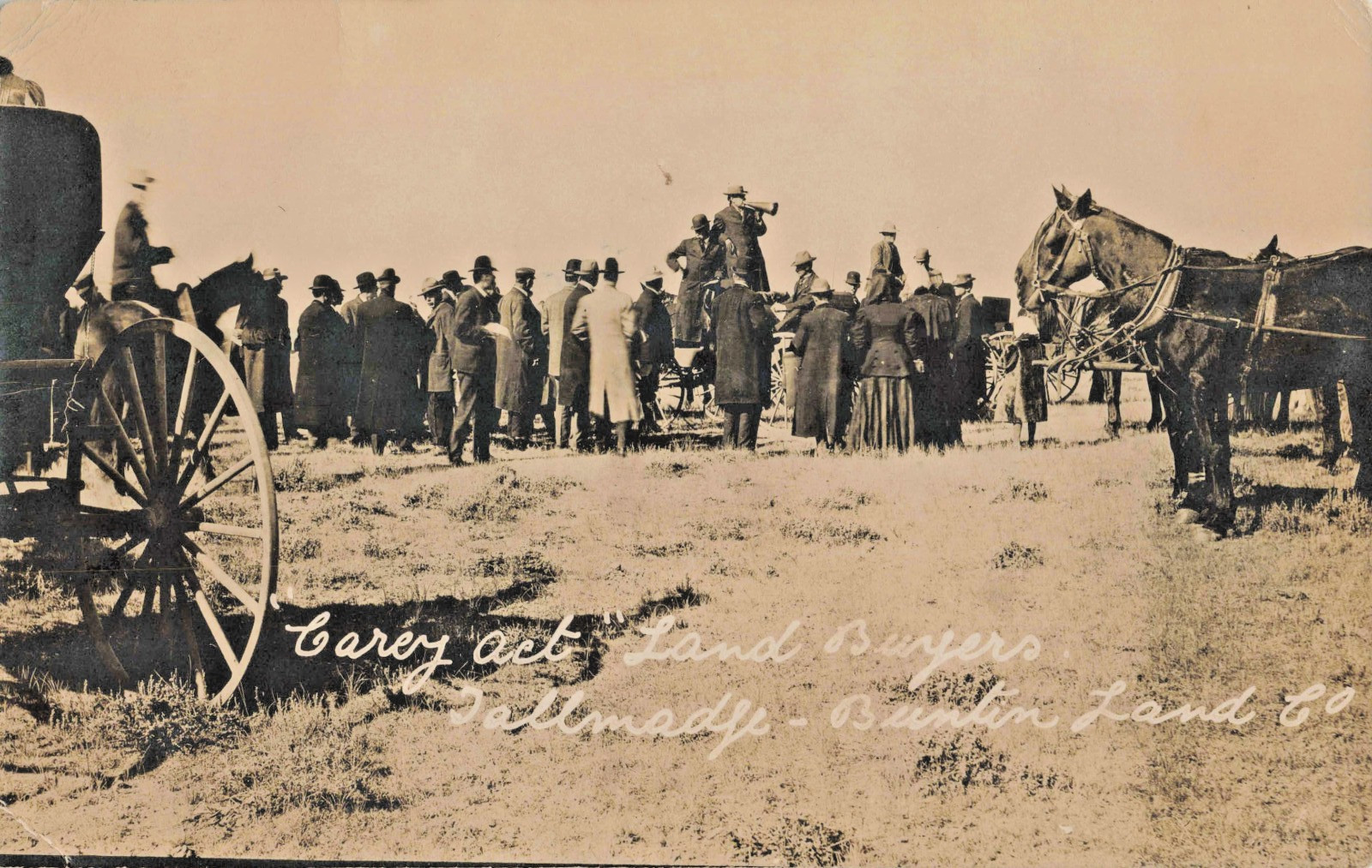 Carey Act Land Buyers RPPC Postcard Real Photo (17)