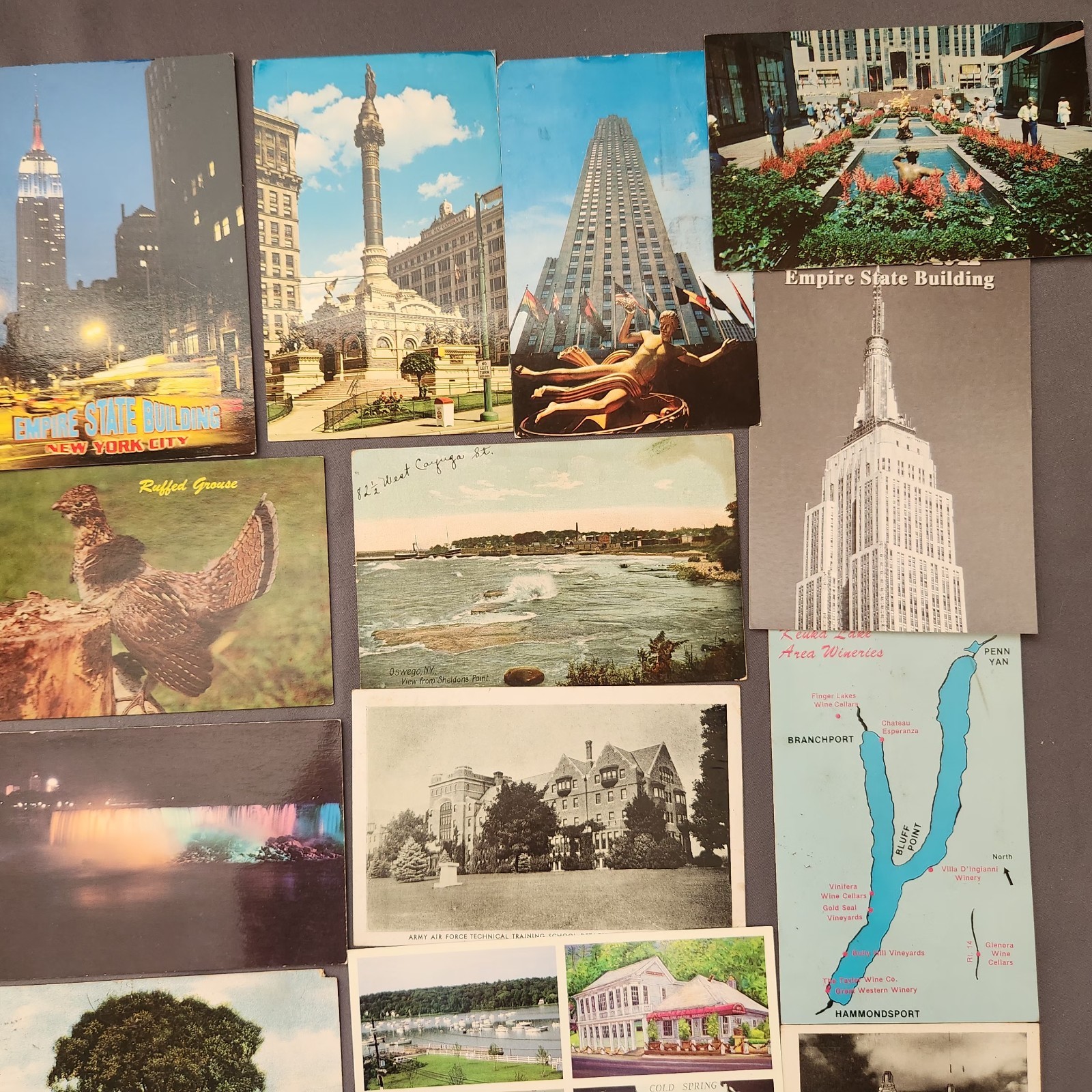 Lot of 89 NEW YORK Postcard Wildlife Nature Cities Landmark 1907 -2000’s Mix