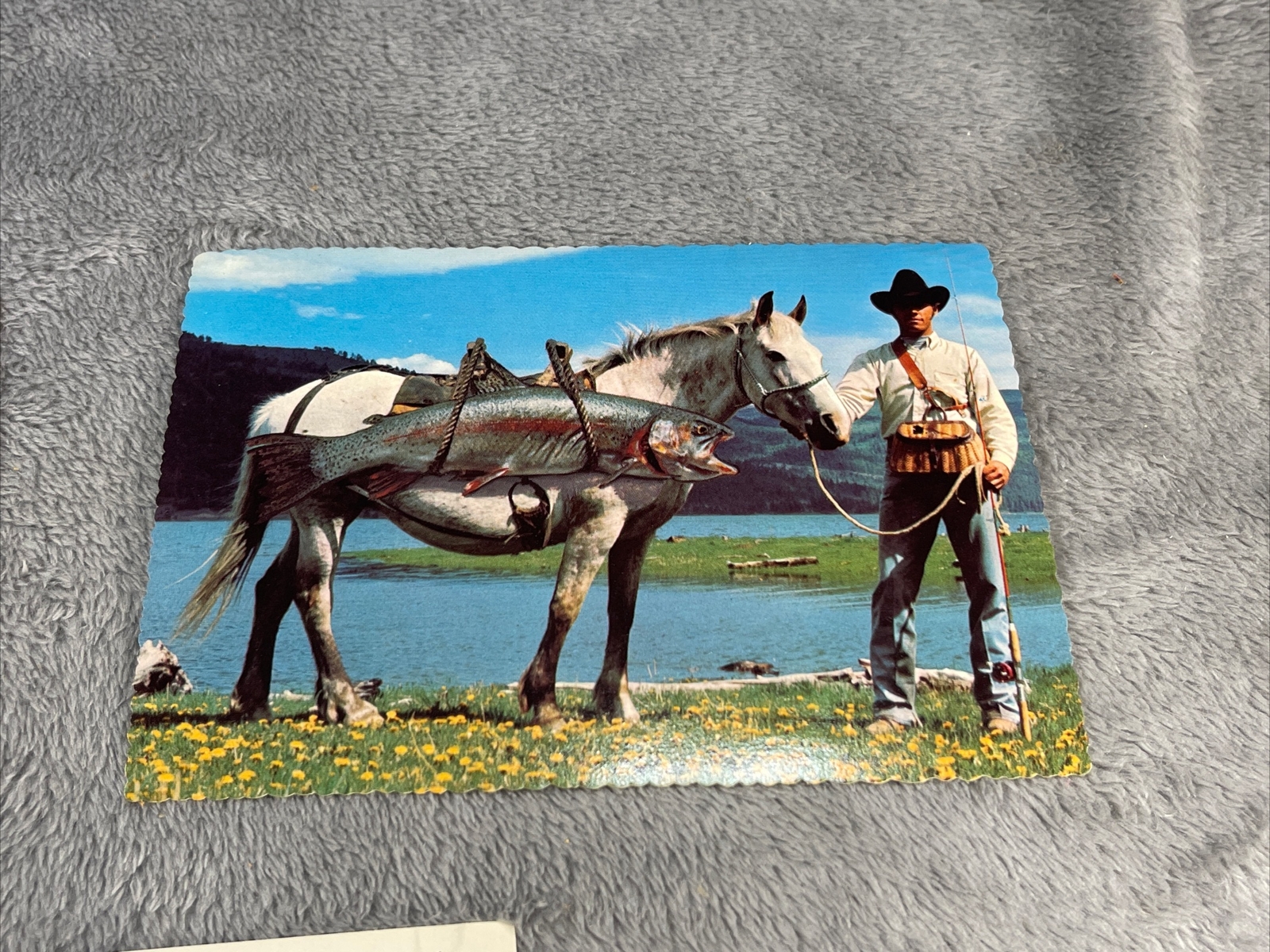 Lot 3 Different Vintage Arizona Postcards