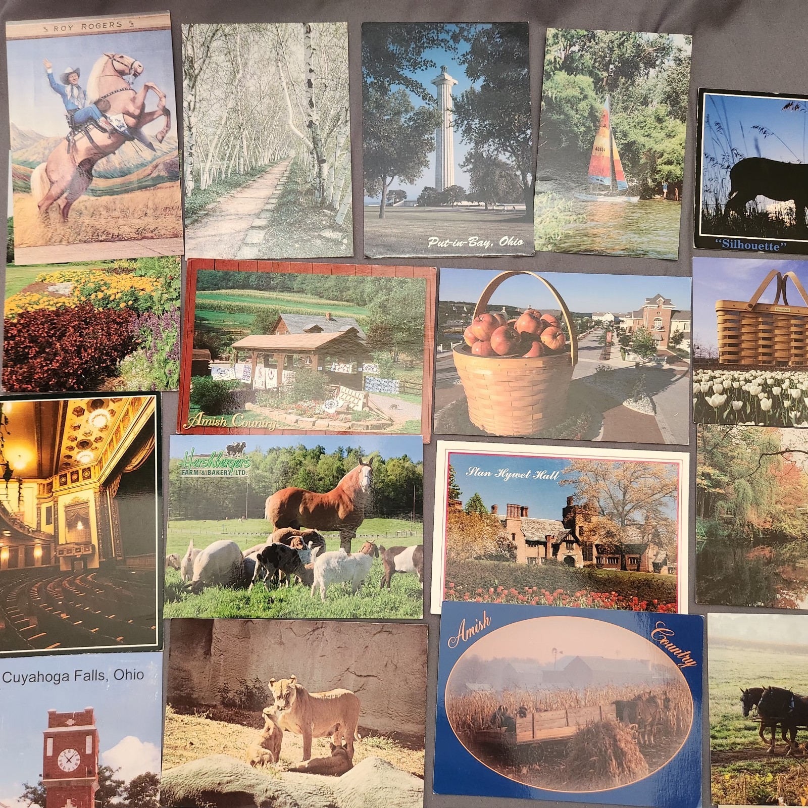 Lot of 75 OHIO Postcard Wildlife Nature Cities Landmark 1930’s -2000’s Mix