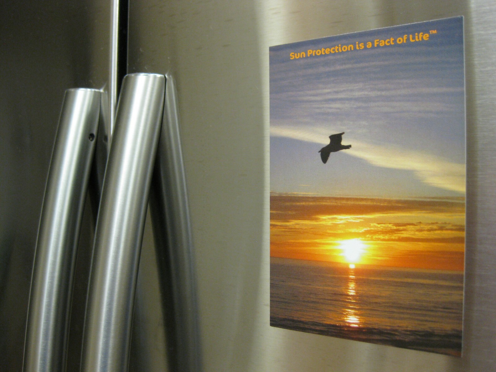 FRIDGE MAGNET 4×6″ SUN PROTECTION IS A FACT OF LIFE Souvenir Refrigerator MAGNET