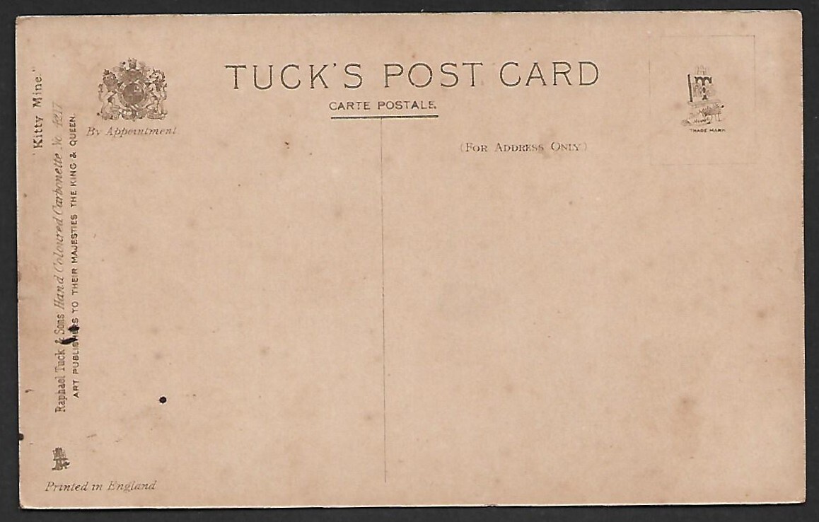 (BL) Cat Raphael Tuck & Sons Single Unit Animals Collectable vintage Postcard
