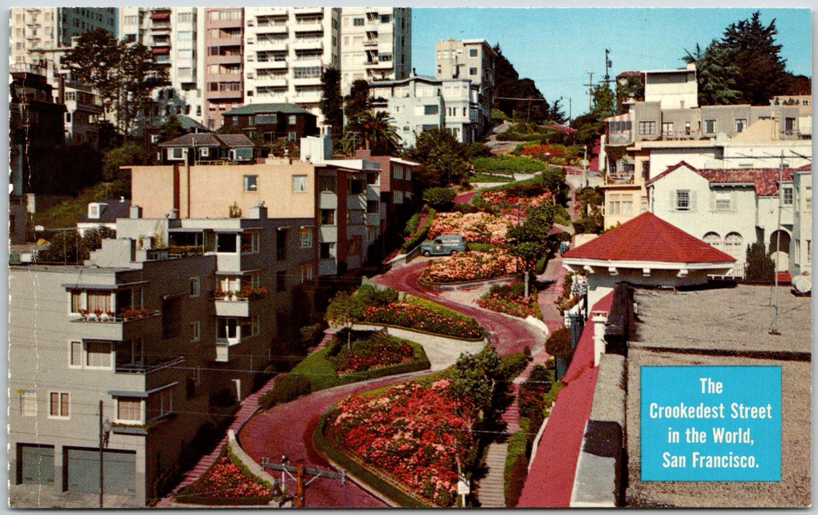 San Francisco USA Lombard Street Crookedest Street Scenic View Postcard
