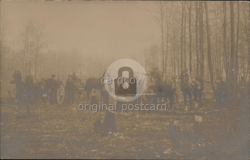 Lot of Men with Horses, Logging Scenes Occupational Original Vintage RPPC