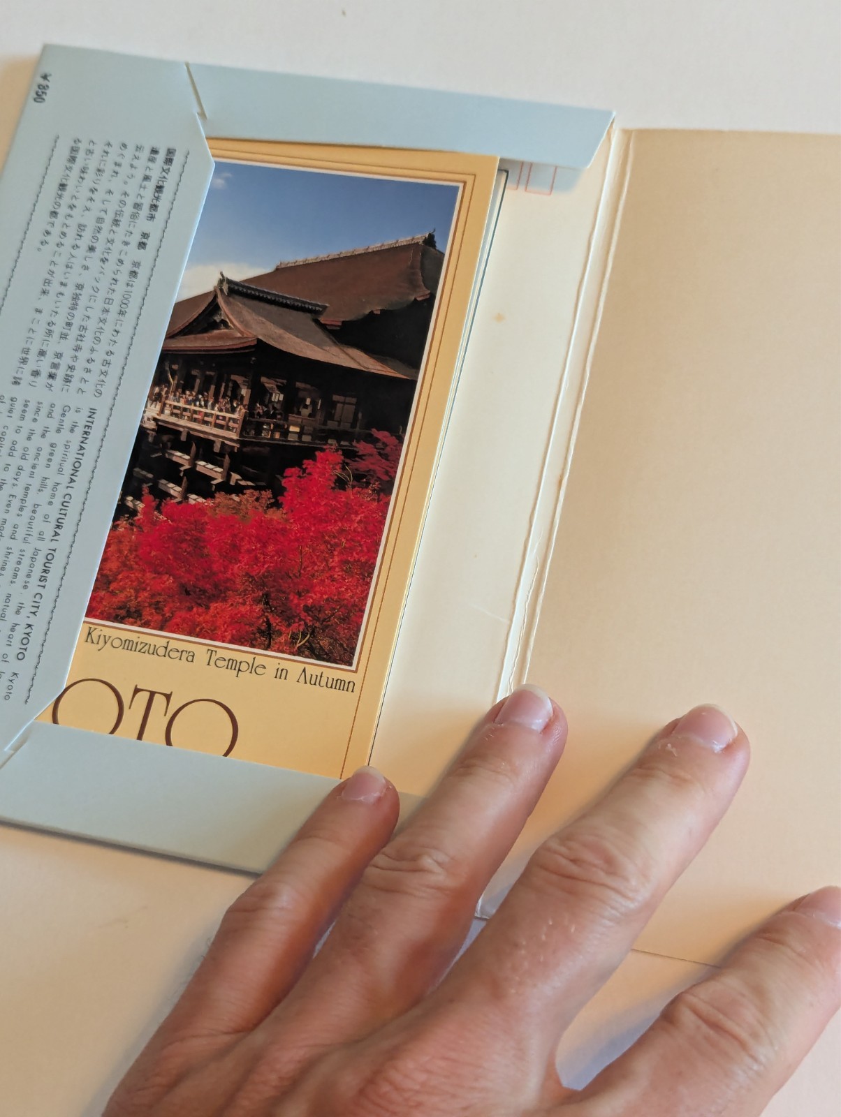 20+ Japanese Postcard Lot + Extras – See Video