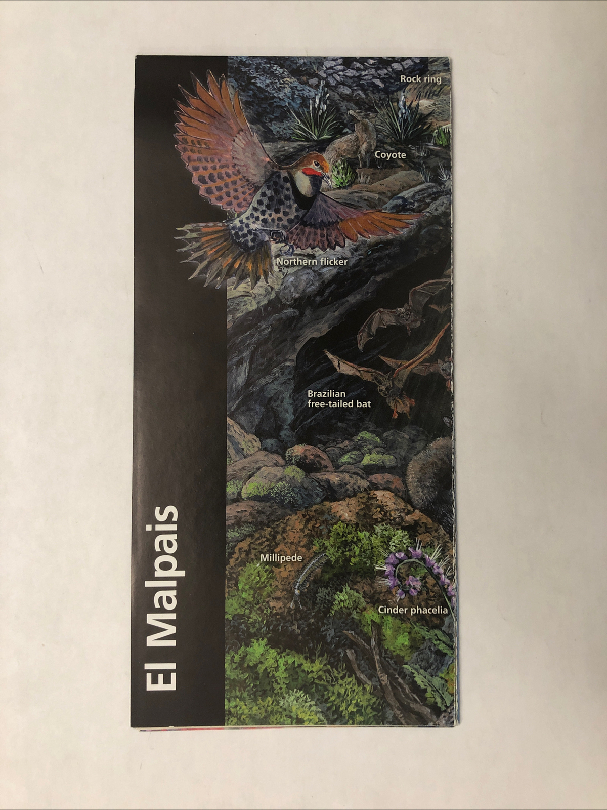 El Malpais National Monument Unigrid Brochure Map NPS Newest Version New Mexico