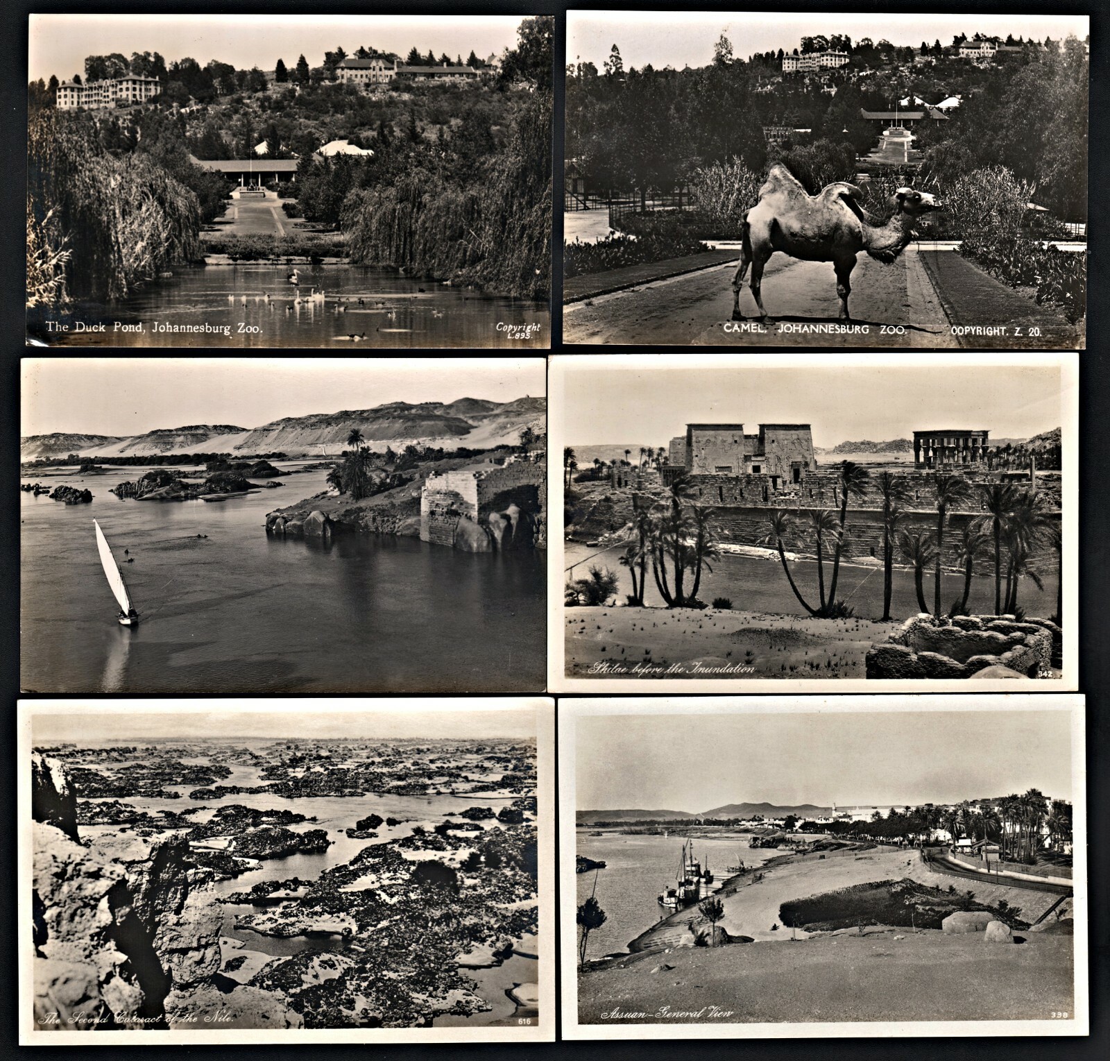 RPPC Lot of 36 African Postcards Cairo Pretoria Khartoum Sudan Kimberley