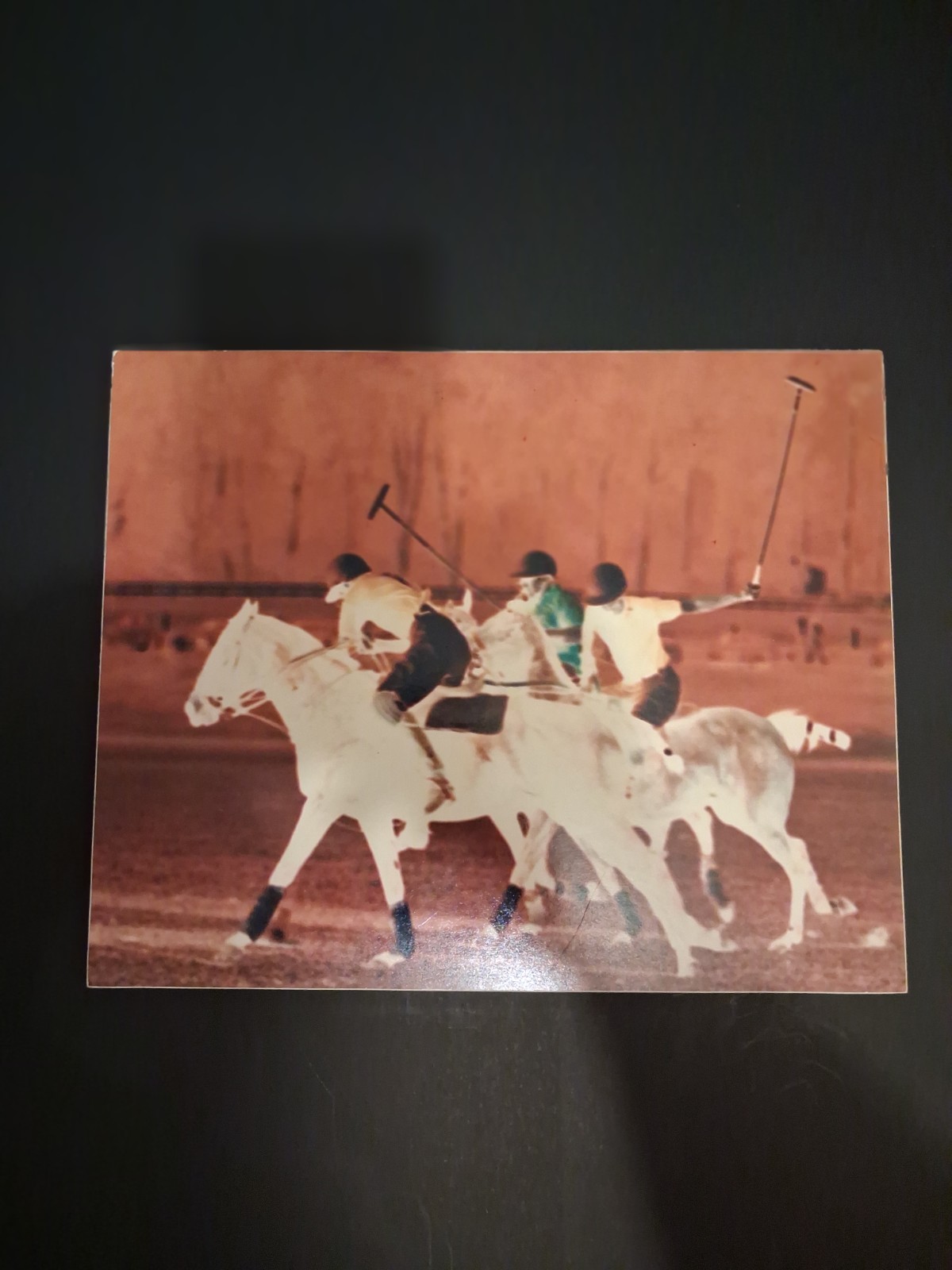 Vintage Horse Polo Sports Action Postcard Cardboard Animals People Single Unit