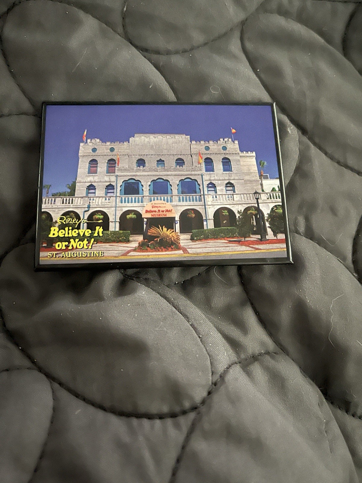 Ripley’s Believe It Or Not Museum Magnet St Augustine Fl