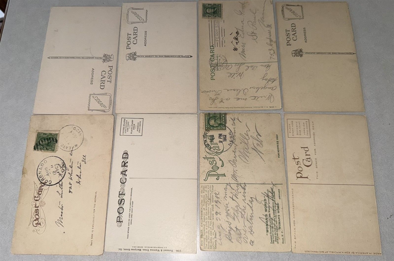 38 different 1907-1920 California Redwood Postcards Redwood Trees Awesome lot!