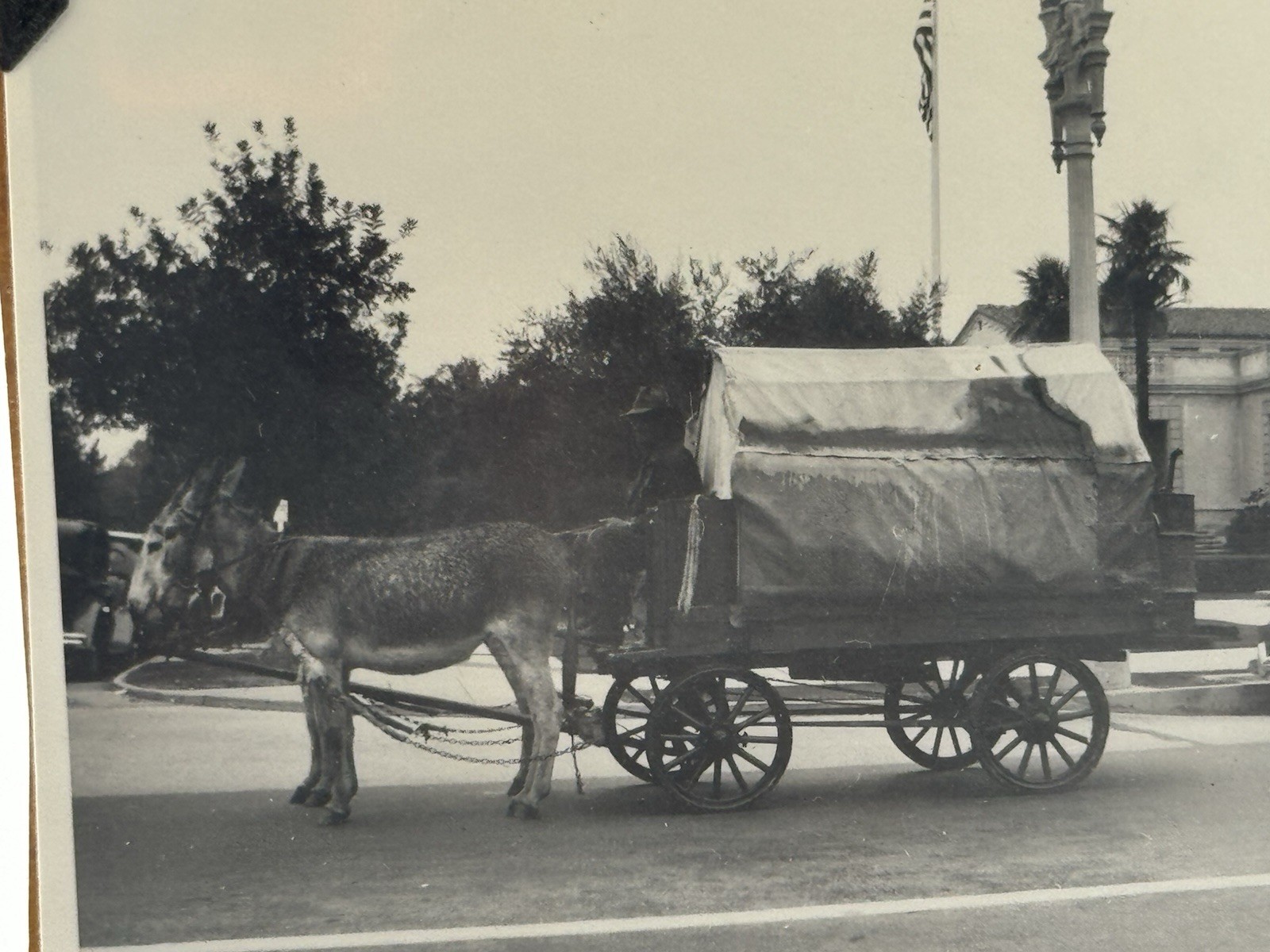 RP Circa 1900 Prospector Took 30 Days To Come From Bolder Dam To Pasadena Calif