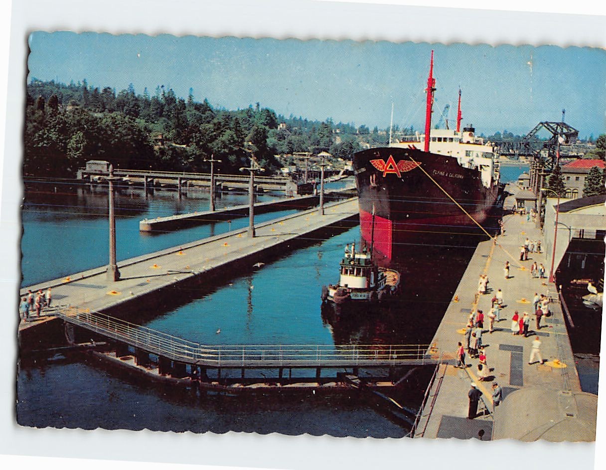 Postcard Government Locks Seattle Washington USA